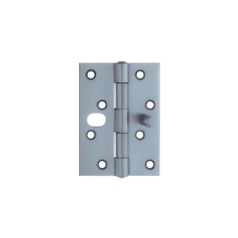Exterior Door Hinges